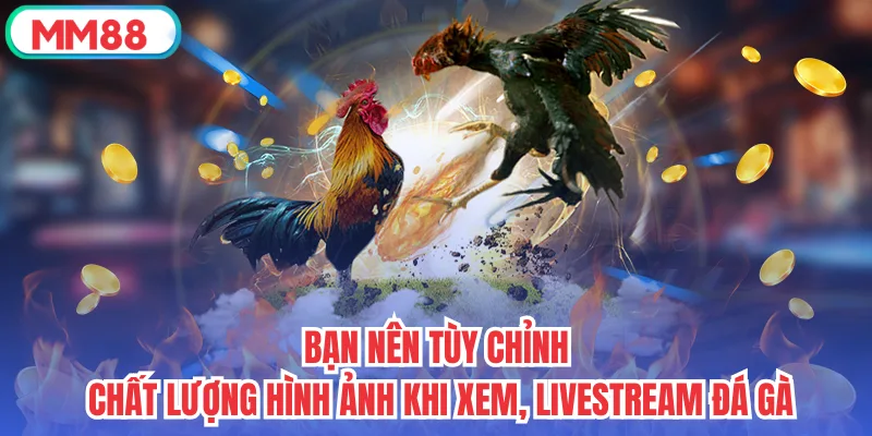 Bạn nên tùy chỉnh chất lượng hình ảnh khi xem, livestream đá gà