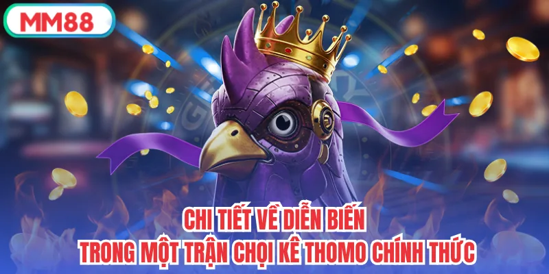 Chi tiết về diễn biến trong một trận chọi kê Thomo chính thức