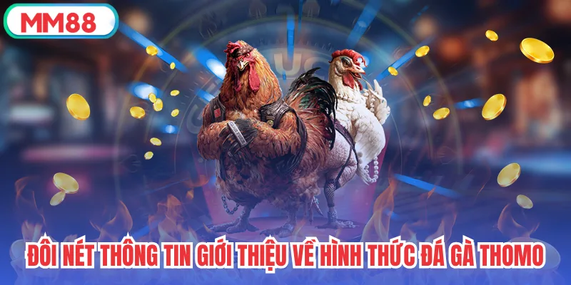 Đôi nét thông tin giới thiệu về hình thức đá gà Thomo