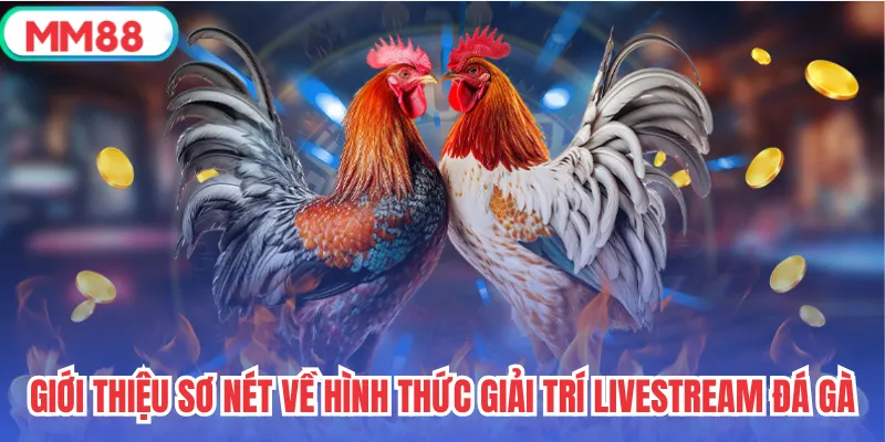 Giới thiệu sơ nét về hình thức giải trí livestream đá gà